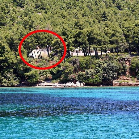 Apartments By The Sea Zuljana, Peljesac - 10233 Zewnętrze zdjęcie