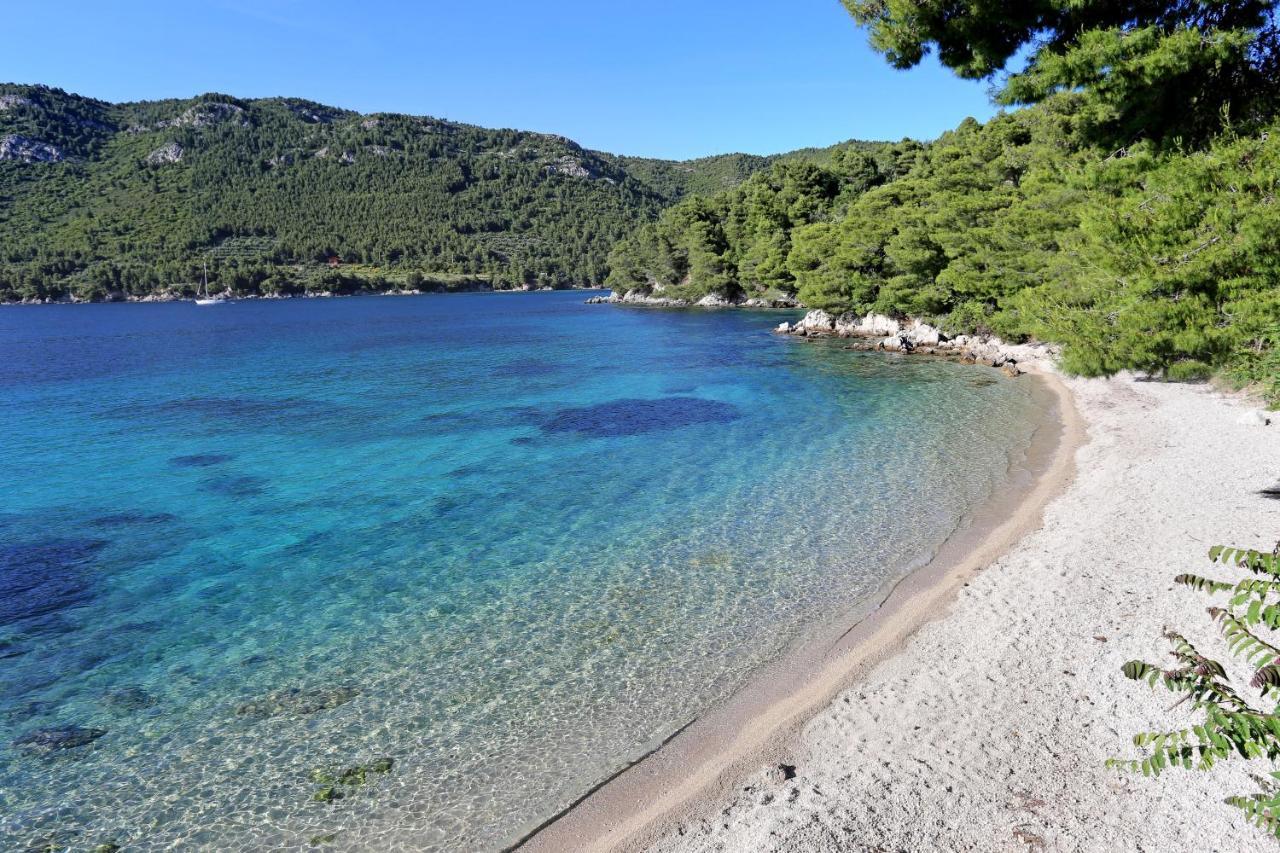 Apartments By The Sea Zuljana, Peljesac - 10233 Zewnętrze zdjęcie
